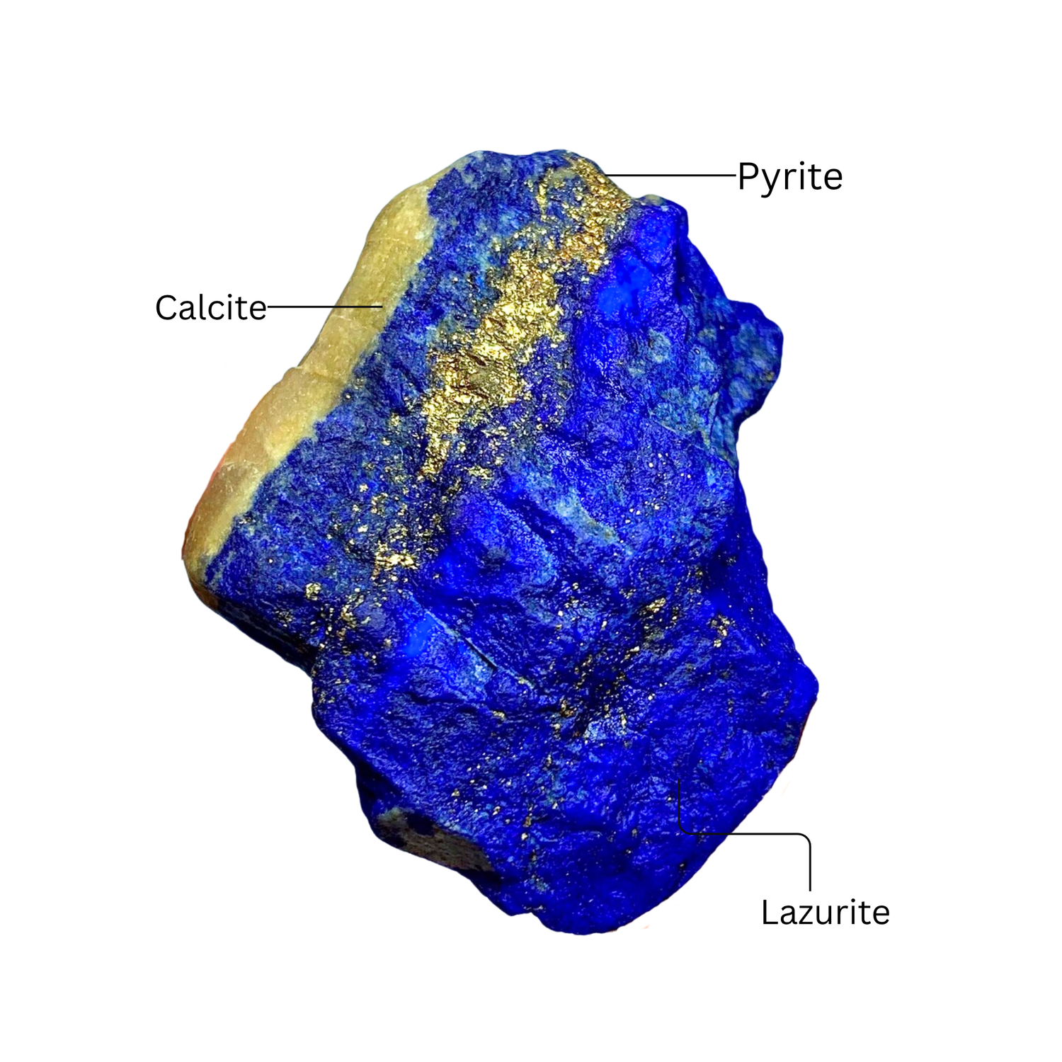 Raw lapis lazuli specimen with blue lazurite, white calcite veins and golden pyrite flecks.